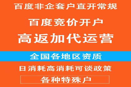 竞价账户优化：成功企业的广告策略揭秘